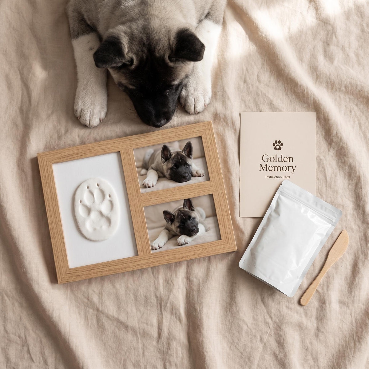 Golden Memory paw print keepsake flat lay