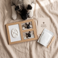 GoldenMemory Kit Frame